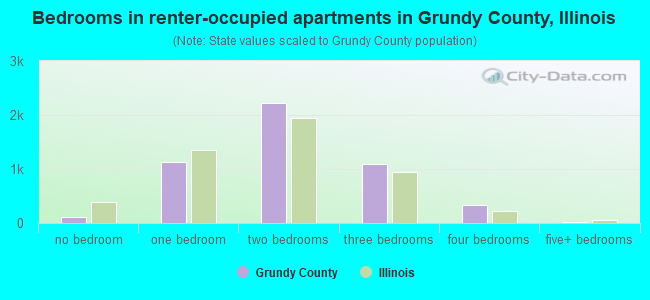 Bedrooms in renter-occupied apartments in Grundy County, Illinois