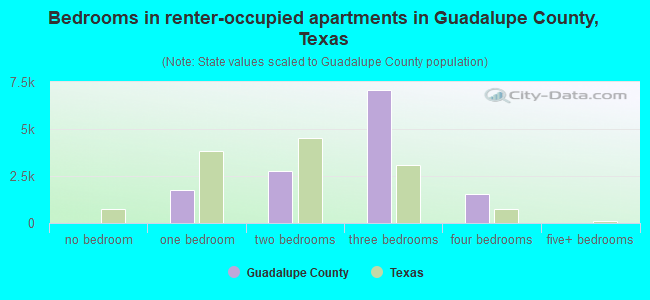 Bedrooms in renter-occupied apartments in Guadalupe County, Texas