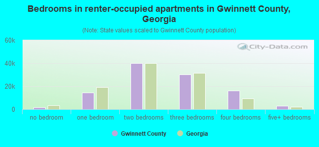 Bedrooms in renter-occupied apartments in Gwinnett County, Georgia