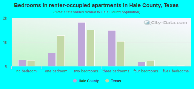 Bedrooms in renter-occupied apartments in Hale County, Texas