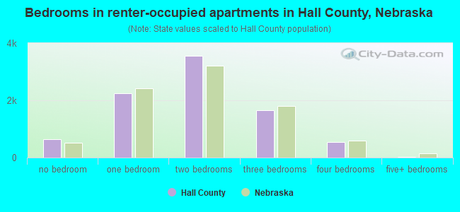 Bedrooms in renter-occupied apartments in Hall County, Nebraska