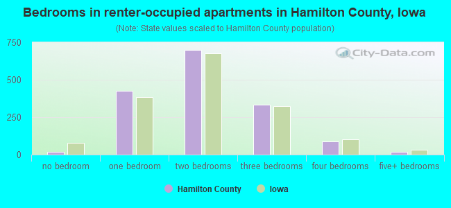Bedrooms in renter-occupied apartments in Hamilton County, Iowa