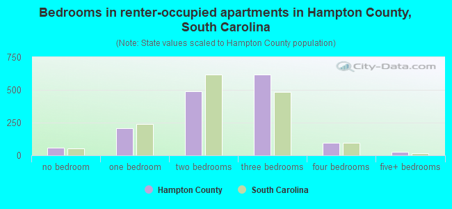 Bedrooms in renter-occupied apartments in Hampton County, South Carolina
