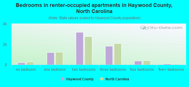 Bedrooms in renter-occupied apartments in Haywood County, North Carolina