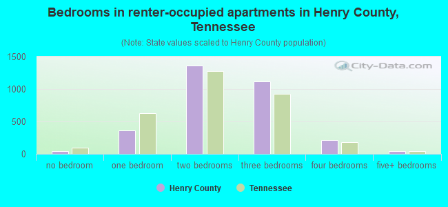 Bedrooms in renter-occupied apartments in Henry County, Tennessee