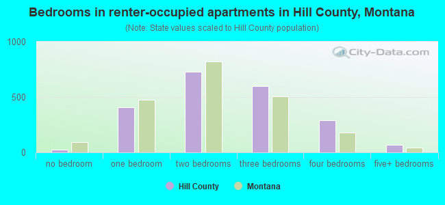 Bedrooms in renter-occupied apartments in Hill County, Montana