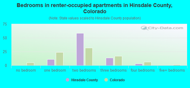 Bedrooms in renter-occupied apartments in Hinsdale County, Colorado