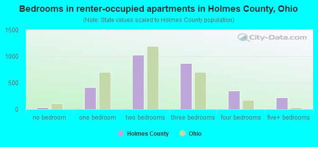 Bedrooms in renter-occupied apartments in Holmes County, Ohio