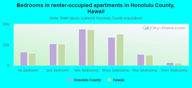 Bedrooms in renter-occupied apartments in Honolulu County, Hawaii