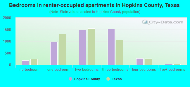 Bedrooms in renter-occupied apartments in Hopkins County, Texas