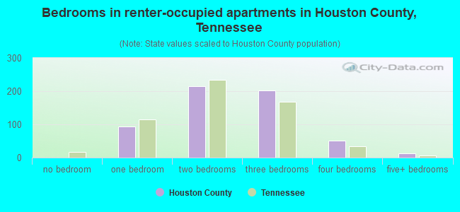 Bedrooms in renter-occupied apartments in Houston County, Tennessee