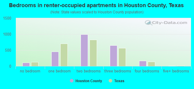 Bedrooms in renter-occupied apartments in Houston County, Texas