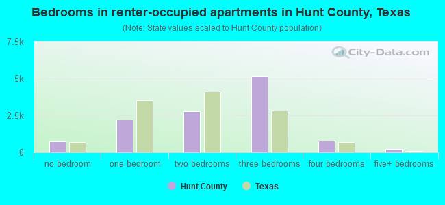 Bedrooms in renter-occupied apartments in Hunt County, Texas