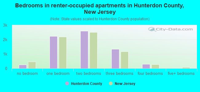 Bedrooms in renter-occupied apartments in Hunterdon County, New Jersey