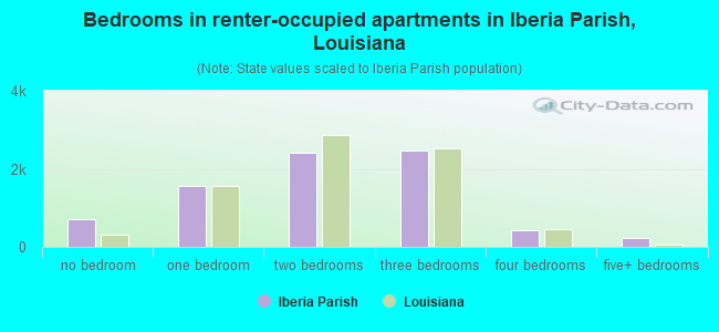 Bedrooms in renter-occupied apartments in Iberia Parish, Louisiana