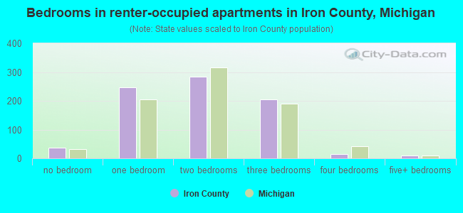 Bedrooms in renter-occupied apartments in Iron County, Michigan