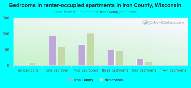 Bedrooms in renter-occupied apartments in Iron County, Wisconsin