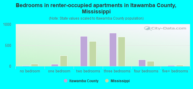 Bedrooms in renter-occupied apartments in Itawamba County, Mississippi