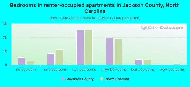 Bedrooms in renter-occupied apartments in Jackson County, North Carolina