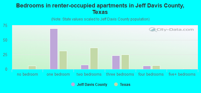 Bedrooms in renter-occupied apartments in Jeff Davis County, Texas