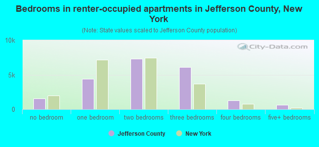 Bedrooms in renter-occupied apartments in Jefferson County, New York