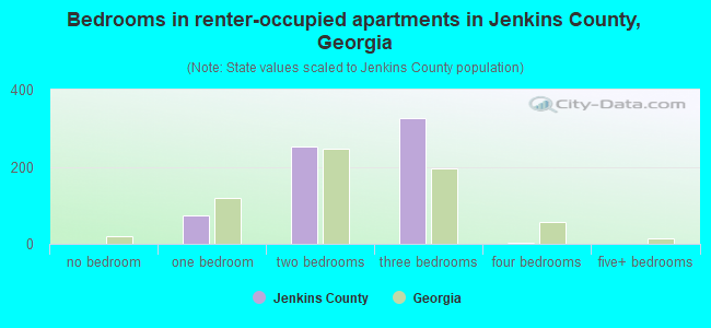 Bedrooms in renter-occupied apartments in Jenkins County, Georgia