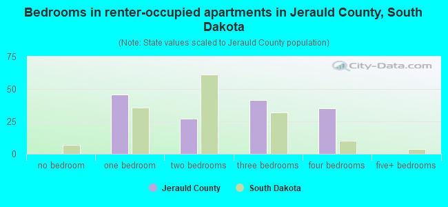 Bedrooms in renter-occupied apartments in Jerauld County, South Dakota
