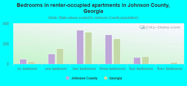 Bedrooms in renter-occupied apartments in Johnson County, Georgia