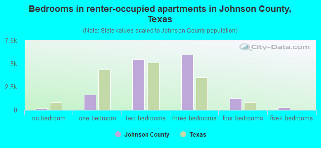Bedrooms in renter-occupied apartments in Johnson County, Texas