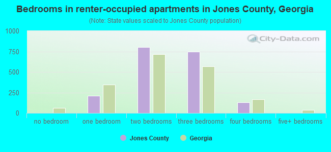 Bedrooms in renter-occupied apartments in Jones County, Georgia