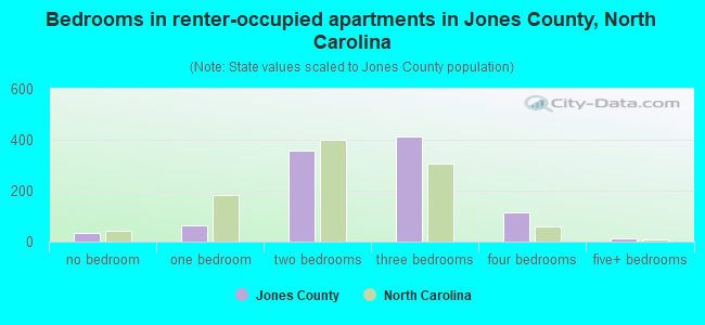 Bedrooms in renter-occupied apartments in Jones County, North Carolina