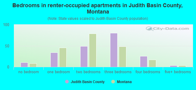 Bedrooms in renter-occupied apartments in Judith Basin County, Montana