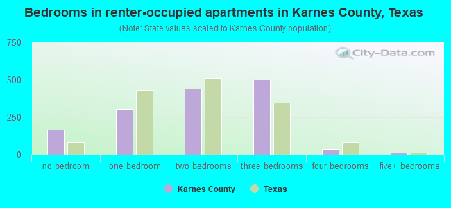 Bedrooms in renter-occupied apartments in Karnes County, Texas