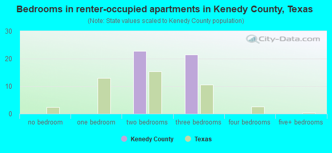 Bedrooms in renter-occupied apartments in Kenedy County, Texas