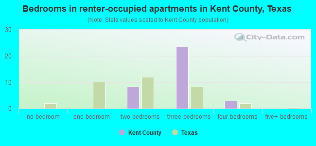 Bedrooms in renter-occupied apartments in Kent County, Texas