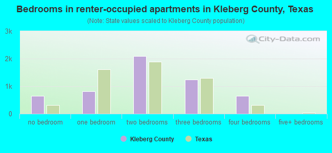 Bedrooms in renter-occupied apartments in Kleberg County, Texas