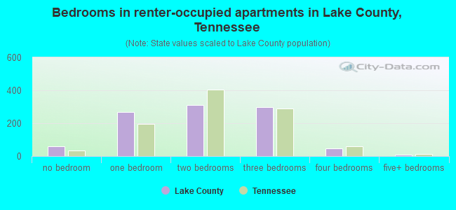 Bedrooms in renter-occupied apartments in Lake County, Tennessee