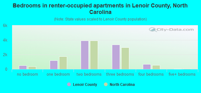 Bedrooms in renter-occupied apartments in Lenoir County, North Carolina