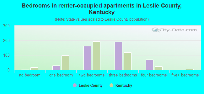 Bedrooms in renter-occupied apartments in Leslie County, Kentucky