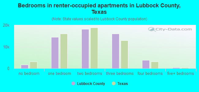 Bedrooms in renter-occupied apartments in Lubbock County, Texas