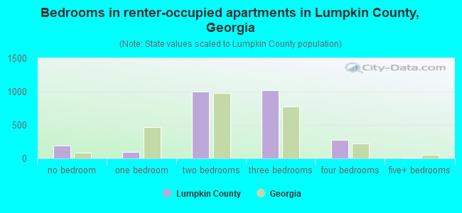 Bedrooms in renter-occupied apartments in Lumpkin County, Georgia