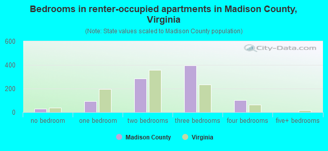 Bedrooms in renter-occupied apartments in Madison County, Virginia