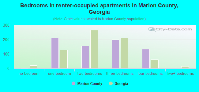 Bedrooms in renter-occupied apartments in Marion County, Georgia