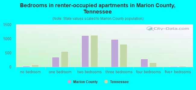 Bedrooms in renter-occupied apartments in Marion County, Tennessee