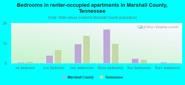Bedrooms in renter-occupied apartments in Marshall County, Tennessee