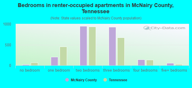Bedrooms in renter-occupied apartments in McNairy County, Tennessee