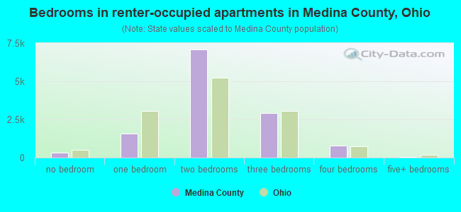 Bedrooms in renter-occupied apartments in Medina County, Ohio