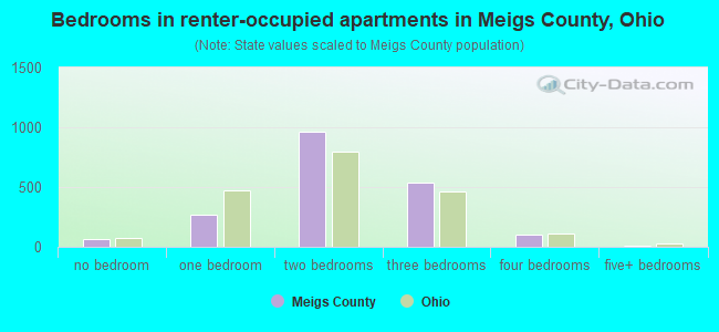 Bedrooms in renter-occupied apartments in Meigs County, Ohio
