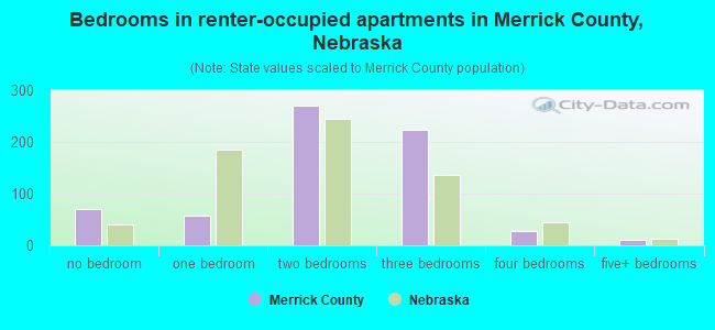 Bedrooms in renter-occupied apartments in Merrick County, Nebraska