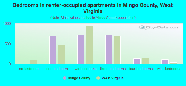 Bedrooms in renter-occupied apartments in Mingo County, West Virginia